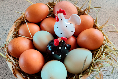 Uova fresche