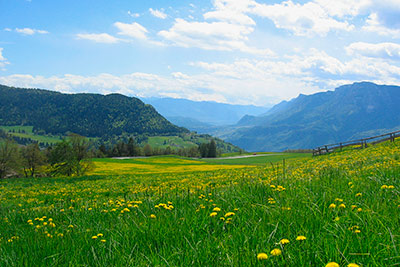 Ausblick in Schlaneid