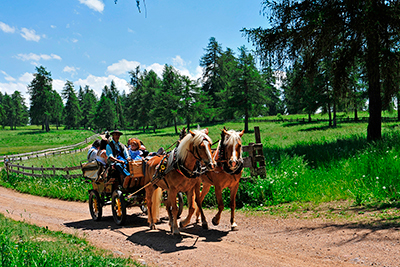 Equitazione & gita in carozza