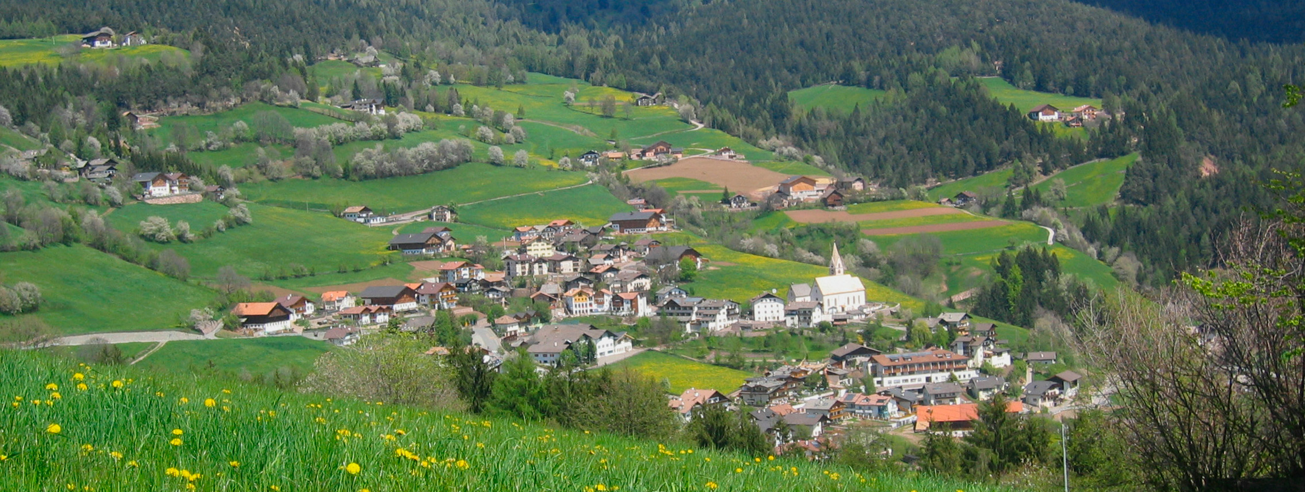 Frühlingsduft in Mölten am Tschöggelberg