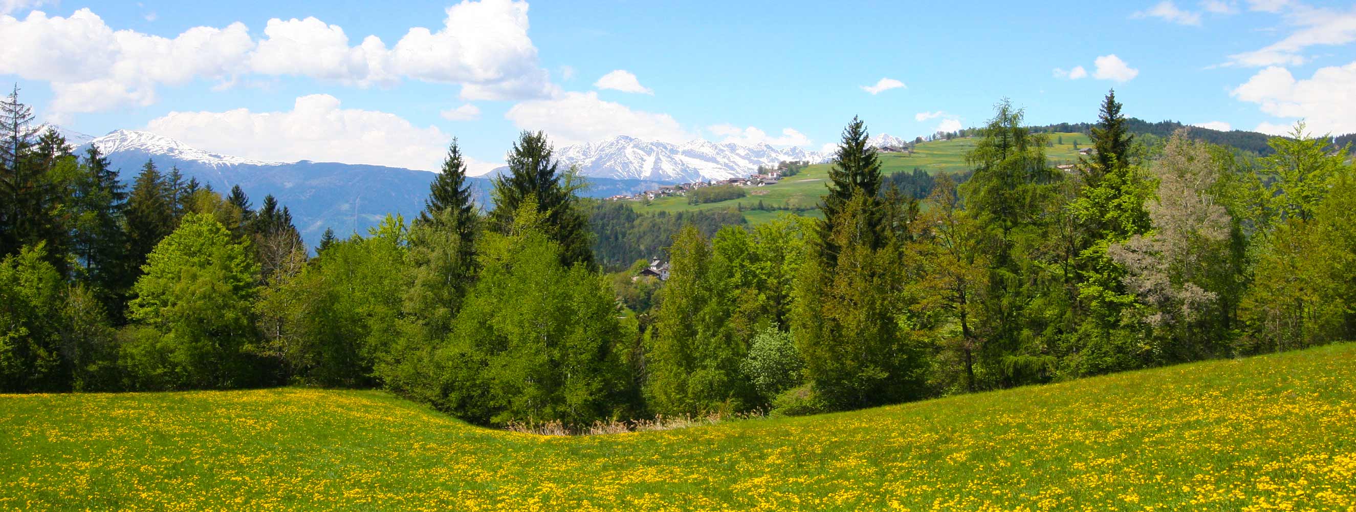 Frühlingsduft in Mölten am Tschöggelberg