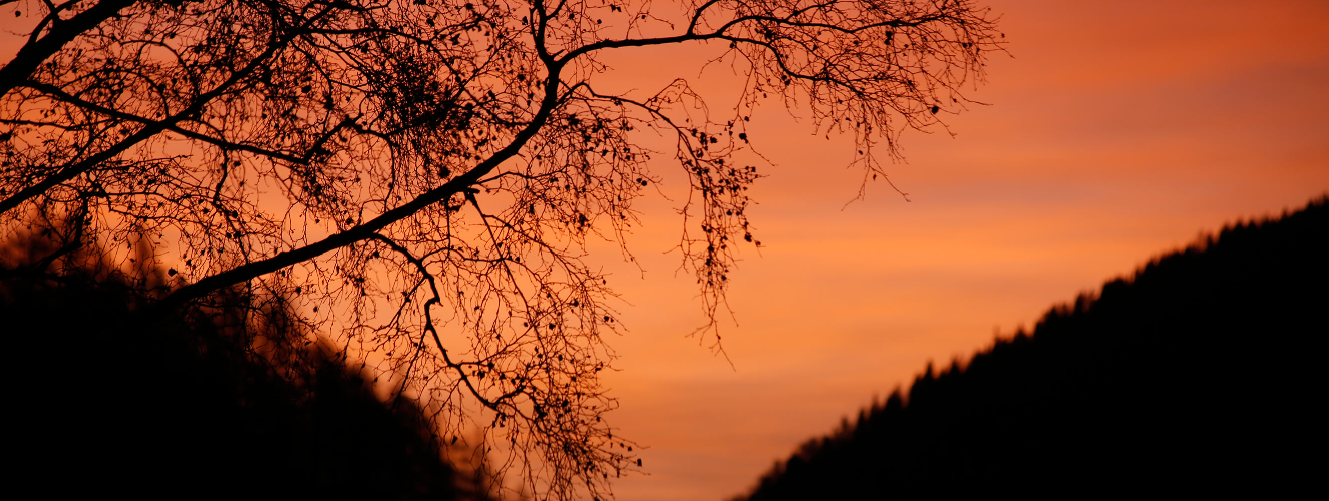 Herbstfarben in Mölten am Tschöggelberg